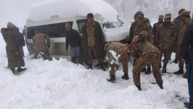 army murree snow