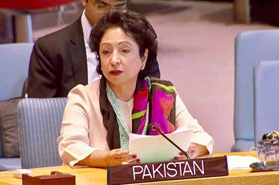 ملیحہ لودھی کا تجزیہ : سیاسی جماعتیں بعد از انتخابات صورتحال کی تیاری کیسے کریں؟ maleeha lodhi