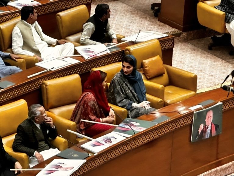 Maryam Nawaz In Assembly