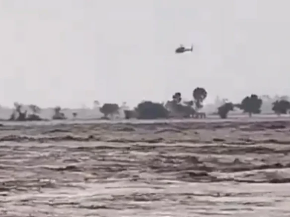 punjab flood and rain 2025