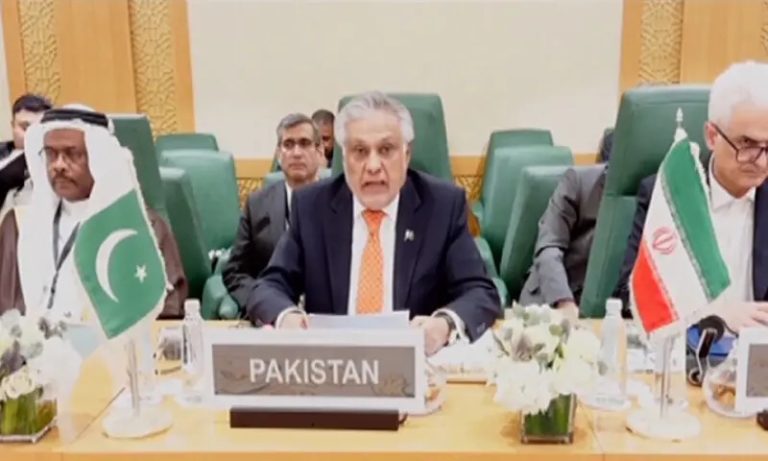 ishaq daar OIC 2025