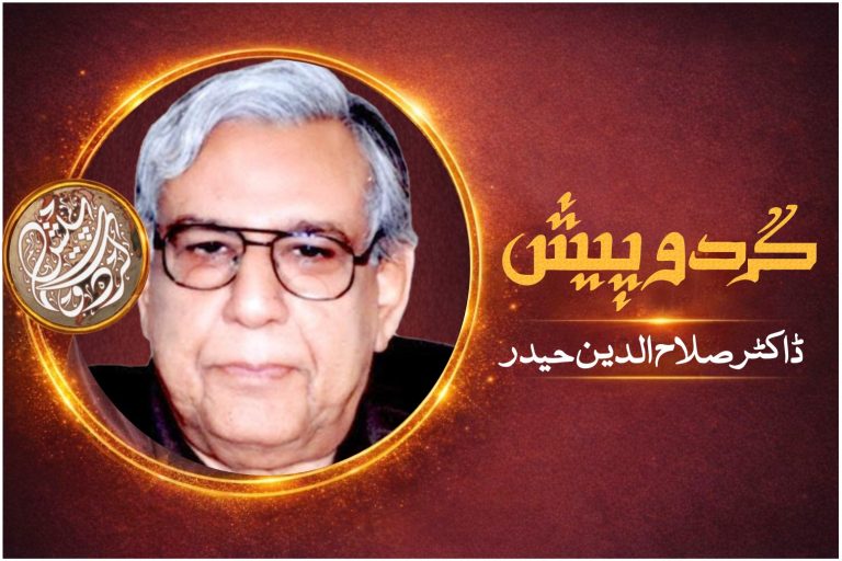 new logo salah ud din